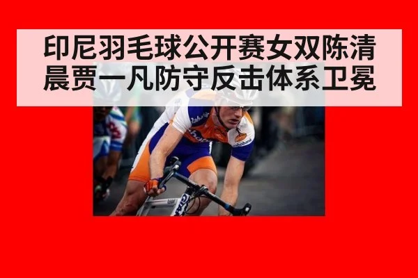 印尼羽毛球公开赛女双陈清晨贾一凡防守反击体系卫冕