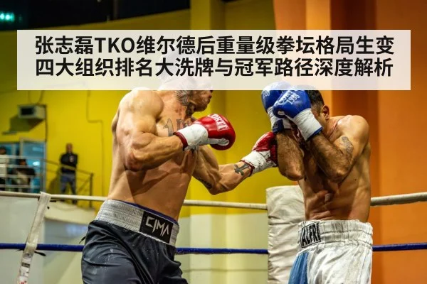 张志磊TKO维尔德后重量级拳坛格局生变 四大组织排名大洗牌与冠军路径深度解析