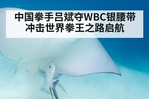 中国拳手吕斌夺WBC银腰带 冲击世界拳王之路启航