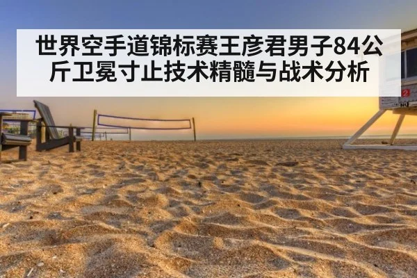 世界空手道锦标赛王彦君男子84公斤卫冕寸止技术精髓与战术分析